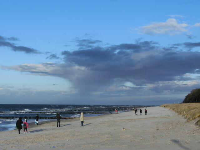 Ferienwohnung in Zingst - Sun & Sea/ Whg. 5 - Bild 22