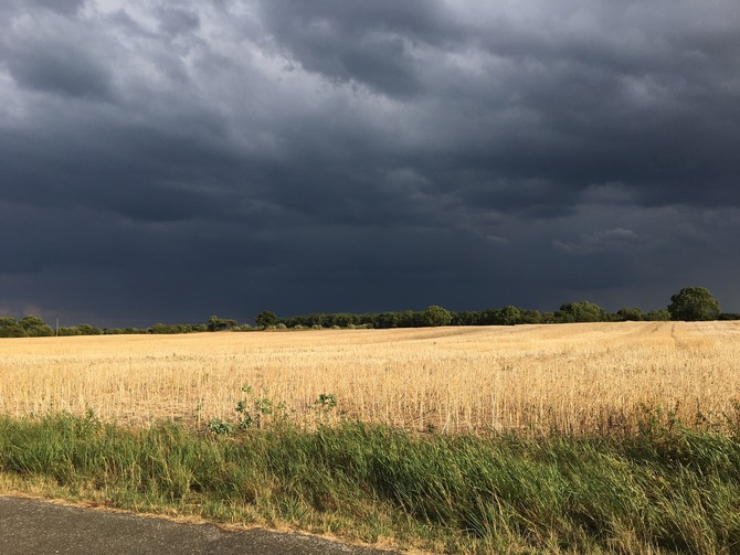 Ferienhaus in Ostermade - Ferienhaus Ostermade - Bild 21