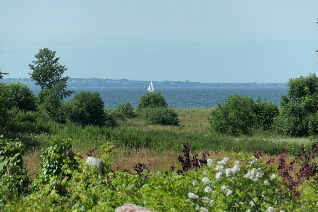 Ferienwohnung in Gelting-Niesgrau - Ferienwohnung Hafenblick Ferienhof Geltinger Bucht - Bild 19
