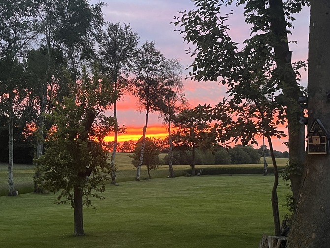 Ferienhaus in Lübbersdorf - Camo Hideaway - Bild 19