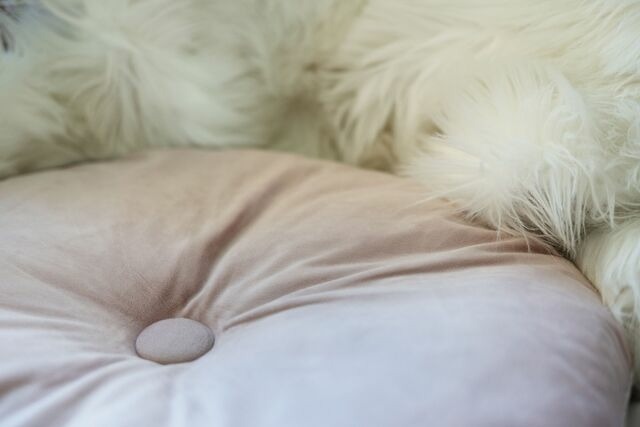 Ferienwohnung in Scharbeutz - Badeweg 4 Bullerbü 10 - Bild 9