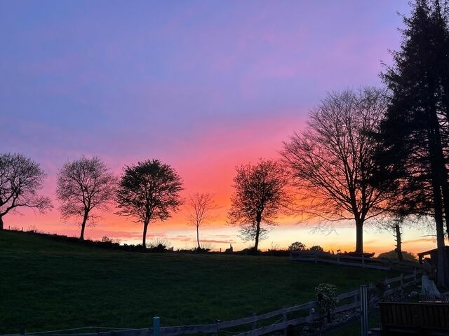 Ferienwohnung in Ascheffel - Wilsterberg FeWo "die Große" - Bild 7