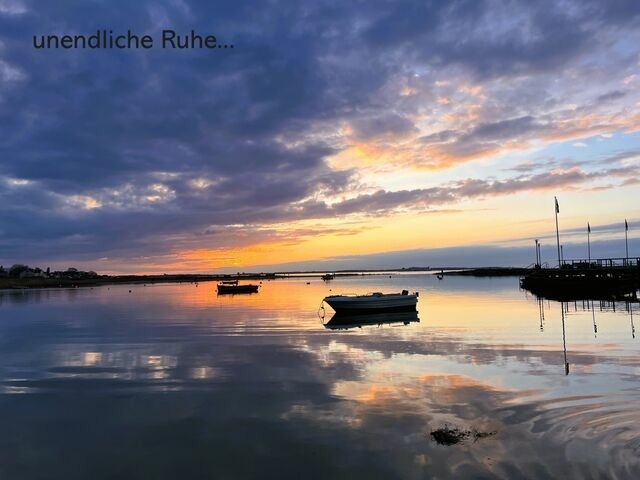 Ferienwohnung in Wendtorf - Silbermöwe - Bild 16