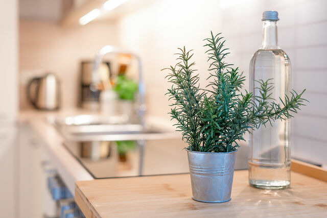 Ferienwohnung in Malente - Dreiseenhaus - Bild 15