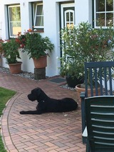 Ferienwohnung in Wangels - G&ouml;nn dir eine Auszeit mit Familie und Sauna - Bild 13